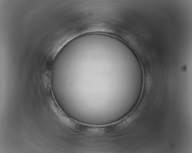 X0000116261369200911300942