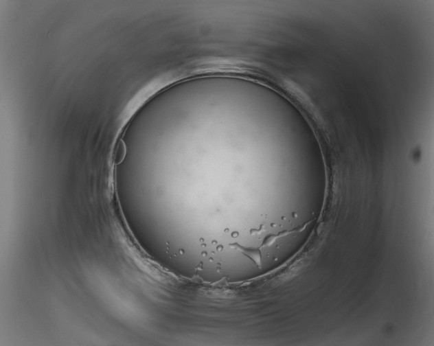 X0000116261370200911300942
