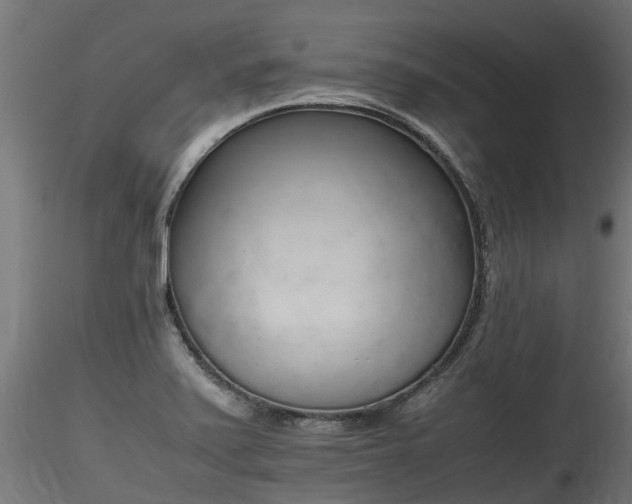 X0000116261371200911300942
