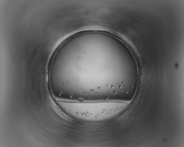 X0000116261372200911300942