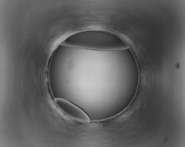 X0000116261373200911300942