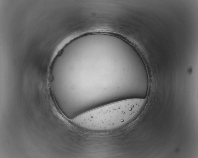 X0000116261374200911300942
