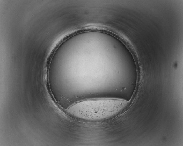X0000116261376200911300942