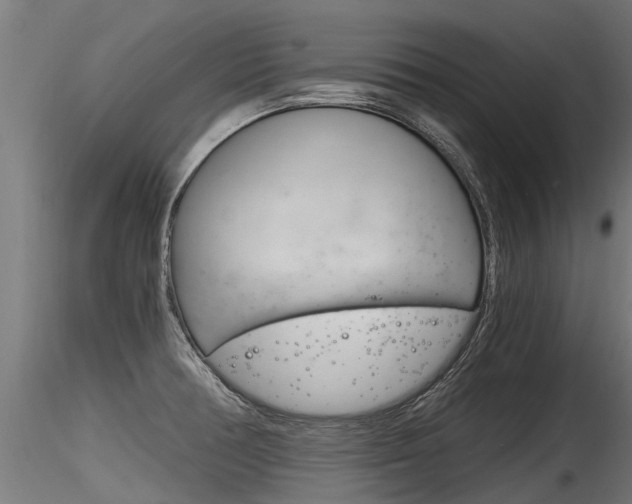 X0000116261378200911300942