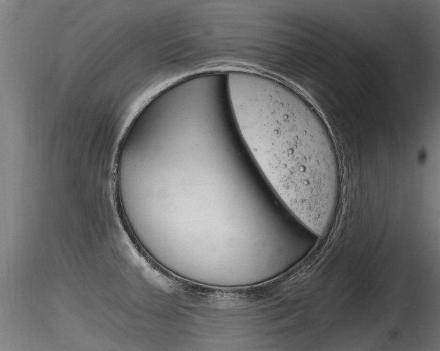 X0000116261379200911300942