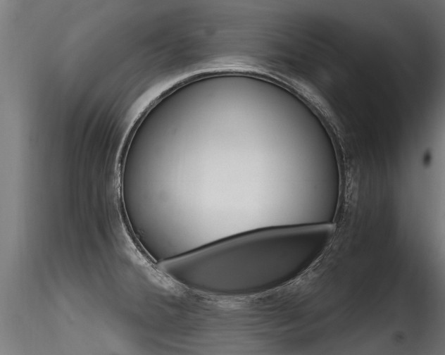 X0000116261380200911300942