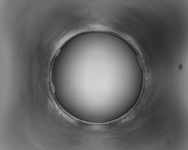 X0000116261381200911300942