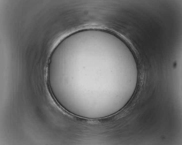X0000116261383200911300942