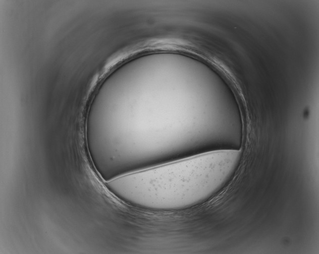 X0000116261384200911300942