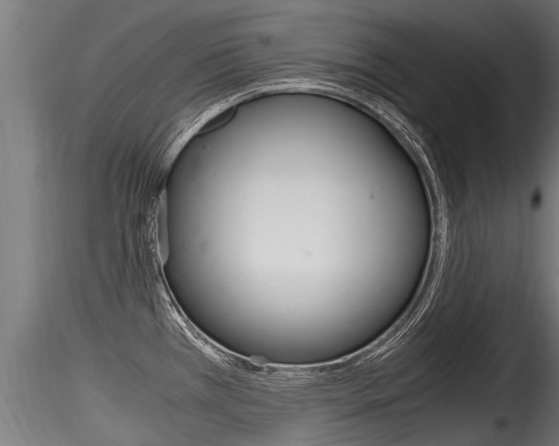 X0000116261385200911300942