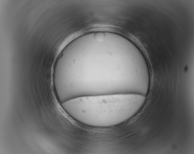 X0000116261386200911300942