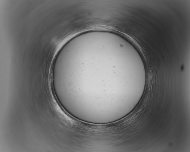 X0000116261387200911300942