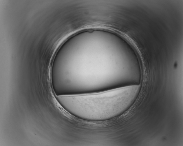 X0000116261388200911300942