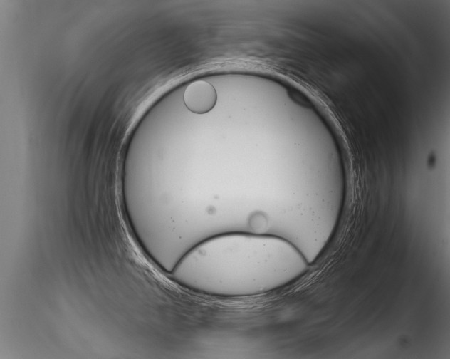 X0000116261390200911300942