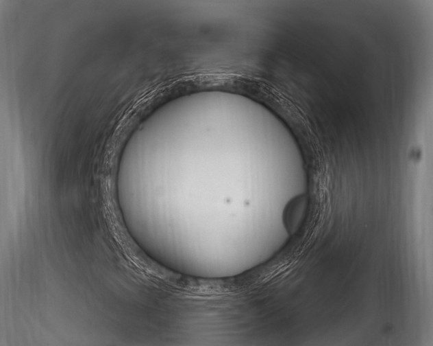 X0000116261393200911300941