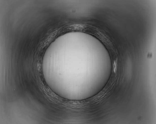 X0000116261395200911300941