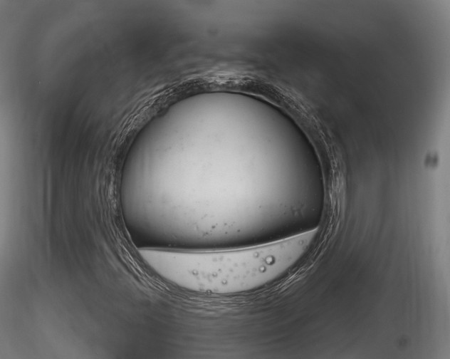X0000116261396200911300941