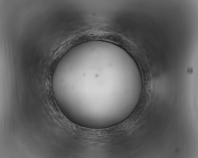 X0000116261397200911300941