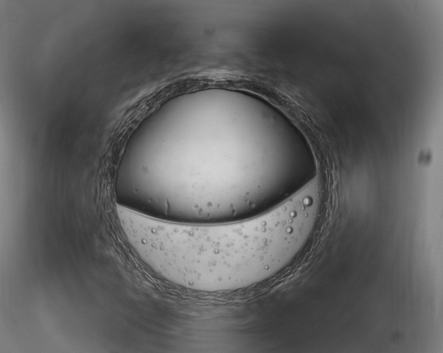 X0000116261398200911300941
