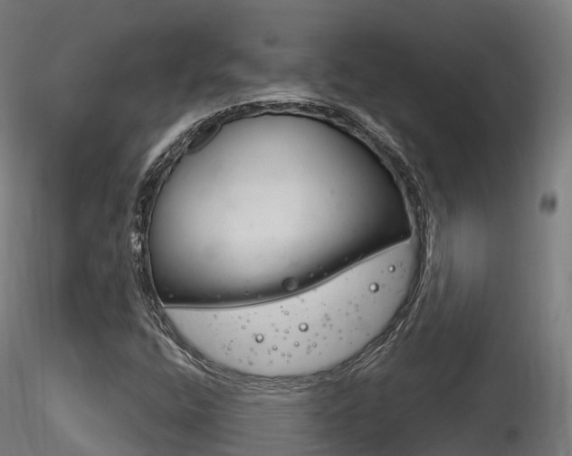 X0000116261400200911300941