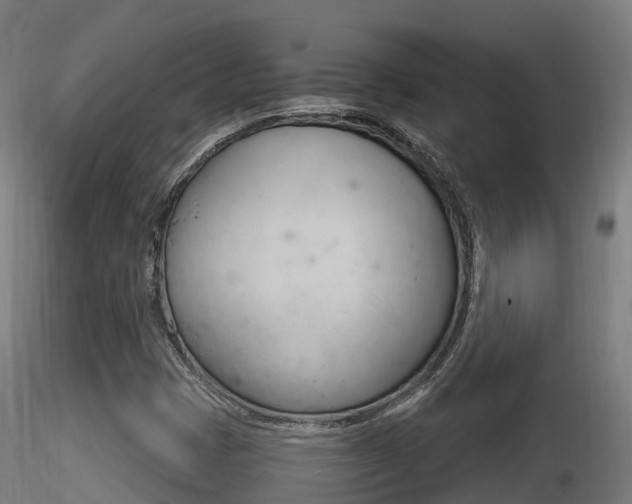 X0000116261401200911300941