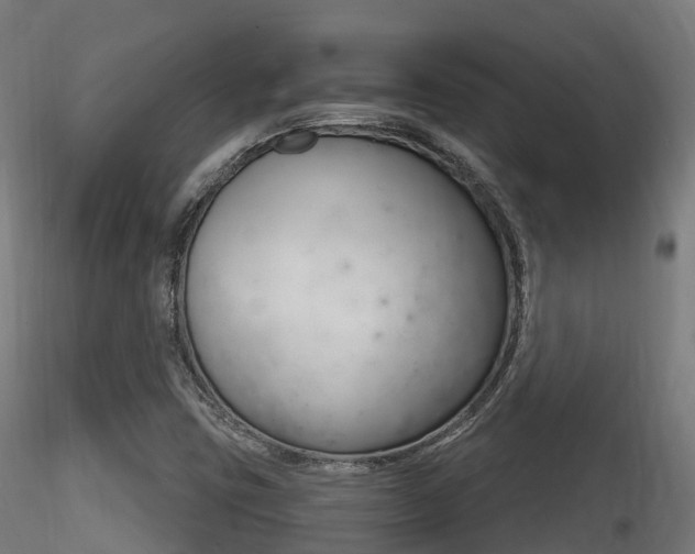 X0000116261403200911300941