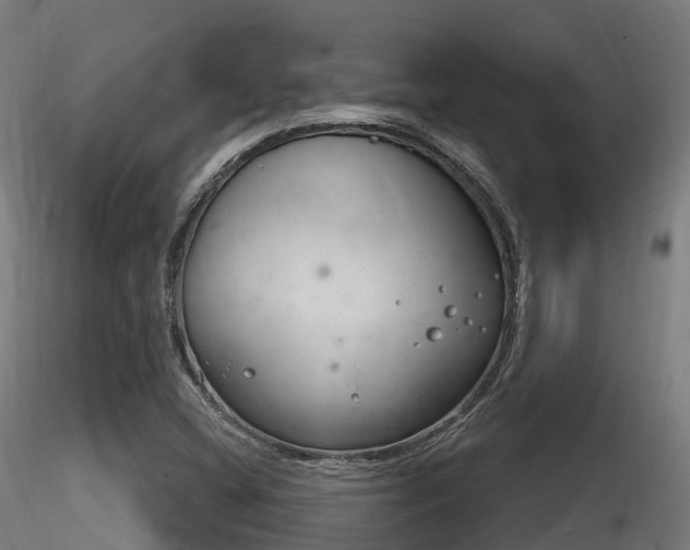 X0000116261404200911300941