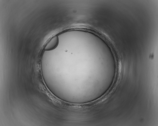 X0000116261405200911300941