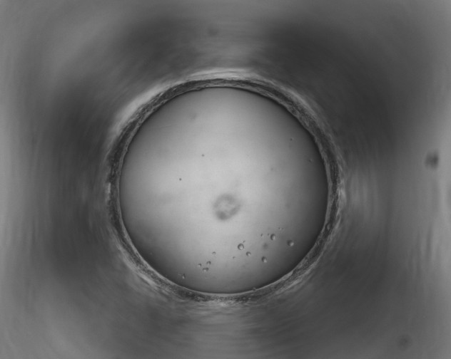 X0000116261406200911300941