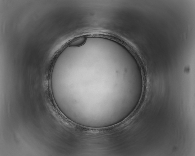 X0000116261407200911300941
