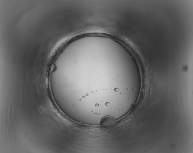 X0000116261408200911300941
