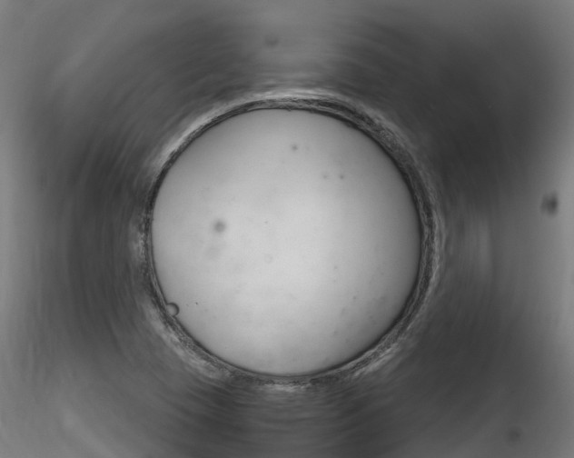 X0000116261409200911300941