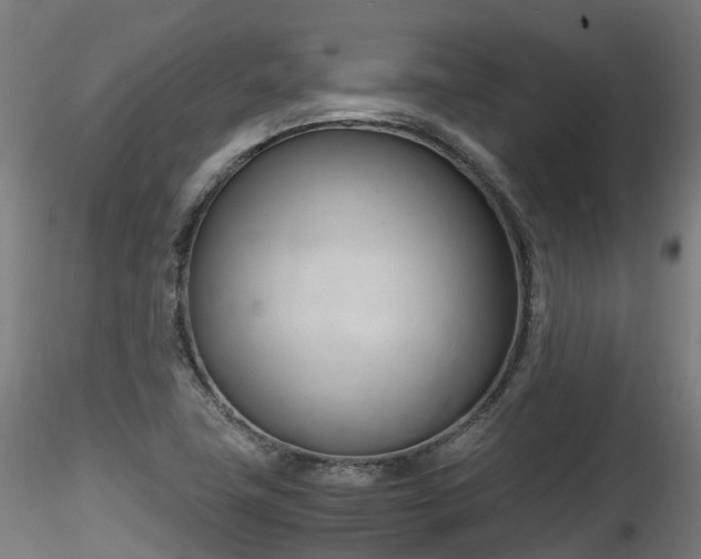 X0000116261411200911300941