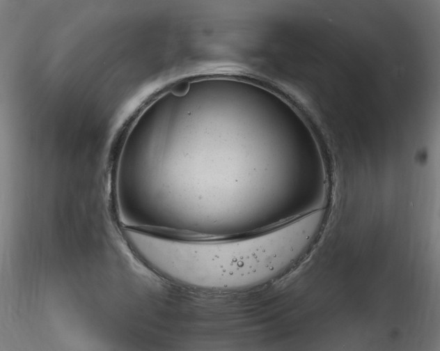 X0000116261414200911300941