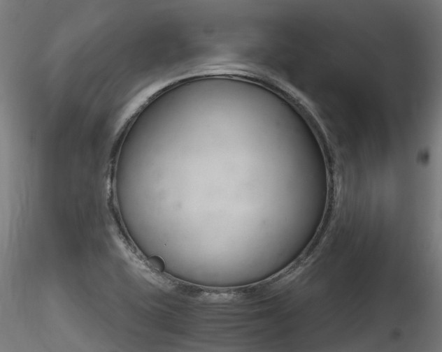 X0000116261415200911300941