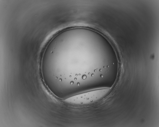 X0000116261416200911300941
