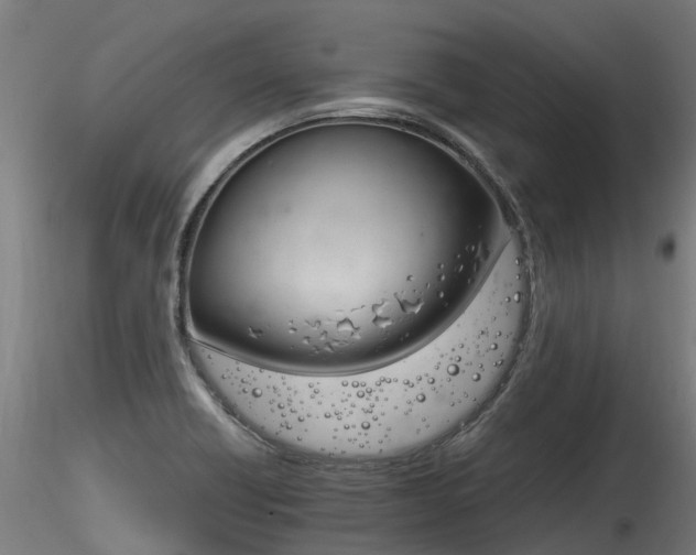 X0000116261418200911300941
