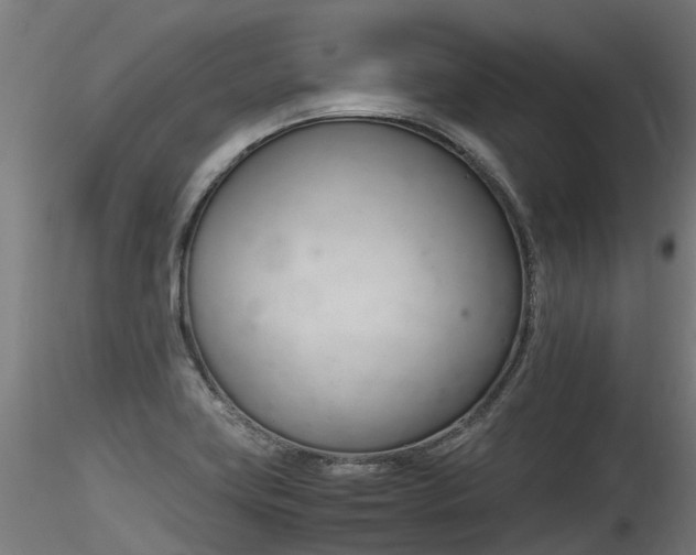 X0000116261419200911300941
