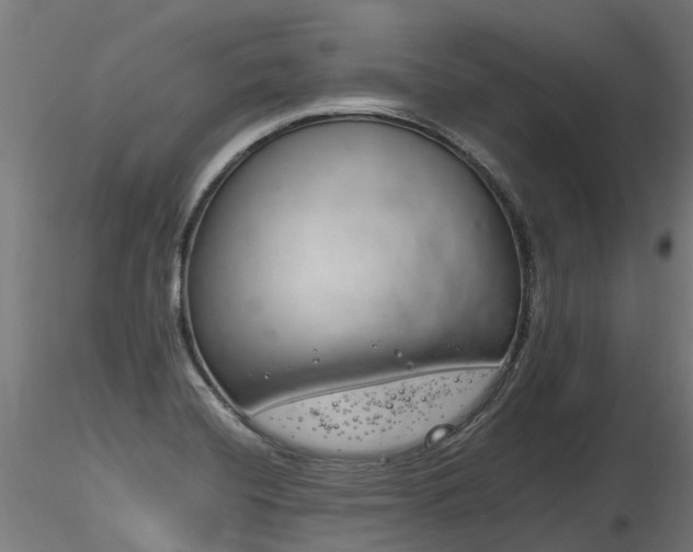 X0000116261420200911300941