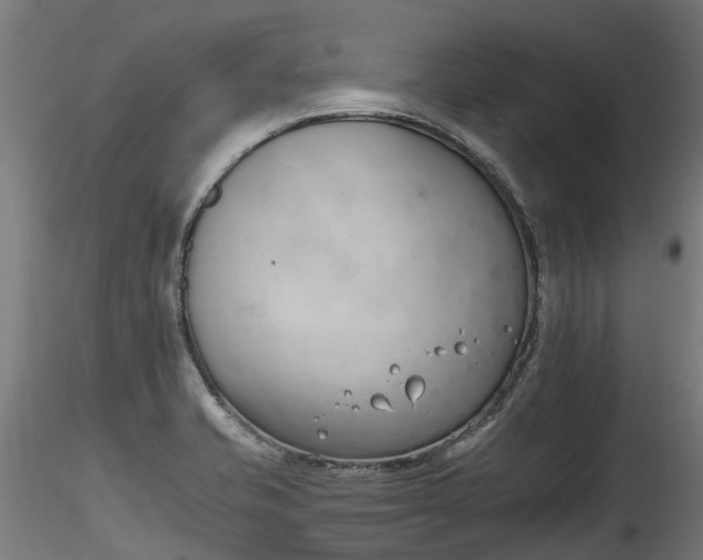 X0000116261421200911300941