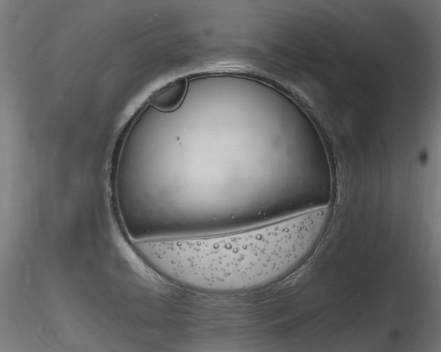 X0000116261422200911300941