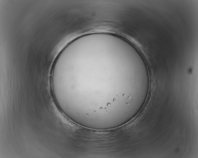 X0000116261423200911300941