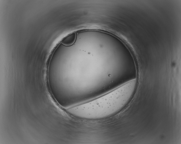 X0000116261424200911300941