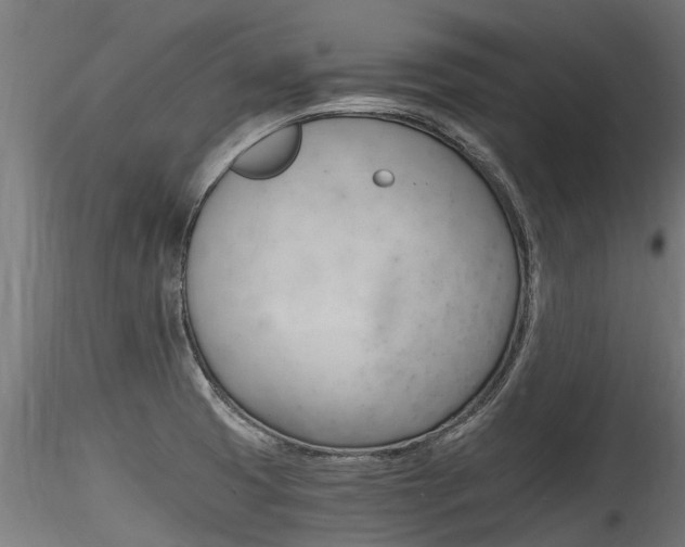 X0000116261425200911300941