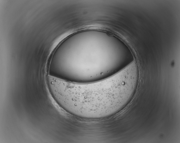 X0000116261426200911300941
