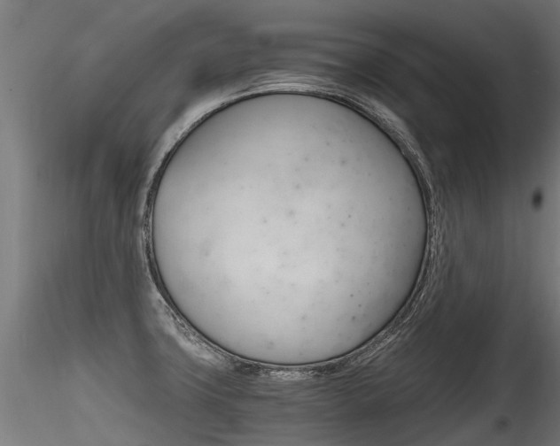X0000116261427200911300941