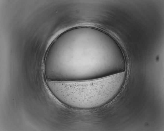 X0000116261428200911300942