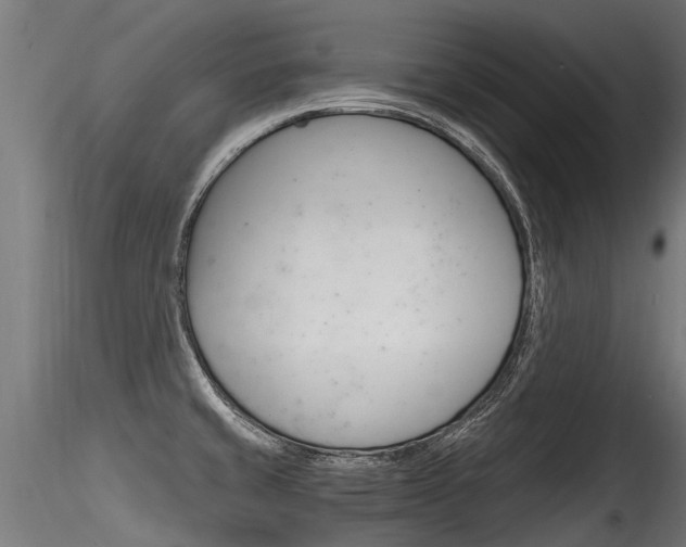 X0000116261429200911300942