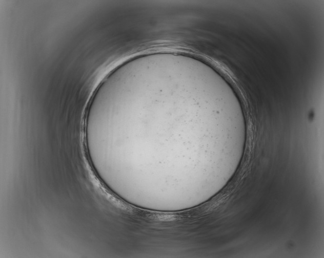 X0000116261431200911300942