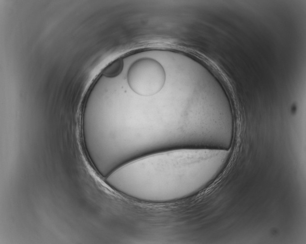 X0000116261432200911300942